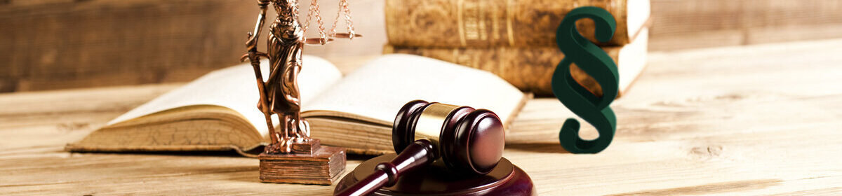 Arbeitsrecht - Zwangsvollstreckungsrecht - Haftpflichtrecht - Schadensersatzrecht